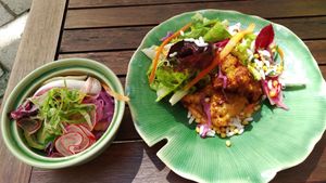 Gebackener Karfiol/ Blumenkohl mit Salat / fried califlower  withe side salad at Hinterhofküche in Linz