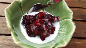 Grobes Beerensorbet auf Kokosmilch / Frozen berries with coconut milk at Hinterhofküche in Linz