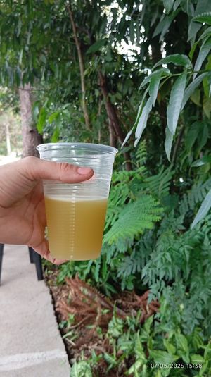 Caldo de cana, fresco at Caldo de Cana e Côco Gelado in Londrina