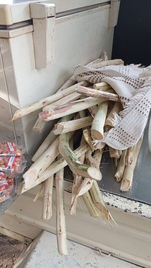 Cana-de-açucar at Caldo de Cana e Côco Gelado in Londrina