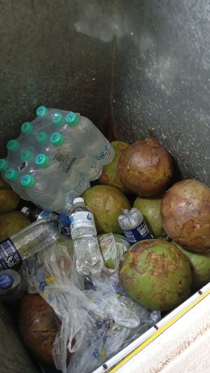 Côco gelado at Caldo de Cana e Côco Gelado in Londrina