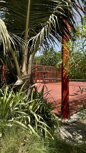 The area in which the restaurant is located   at Nette in Dubai