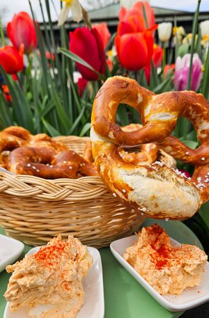  at Servus Bavaria Tours in Munich