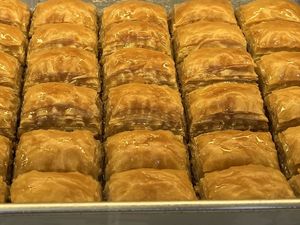  at Servus Bavaria Tours in Munich