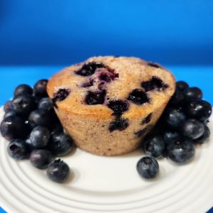 Blueberry Muffin at Surfer Boy Bake Shop in Fort Lauderdale
