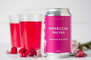 Kombucha at Malinca in Velenje