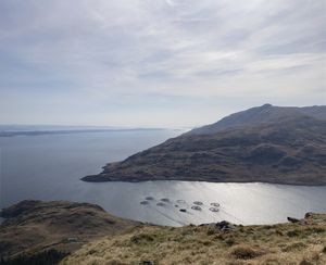 View from hill behind restaurant   at Boathouse Resturant in Fort William