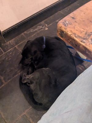  at Foodstory Cafe in Aberdeen