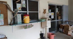  at Ohama Farm in Taketomi