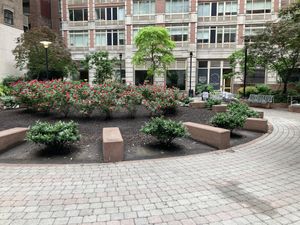 Nearby outdoor park (28th, between 5th and Park Avenues) whet you can sit and eat your meal from Avo.  at Avo - Nomad in New York City