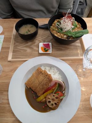 Curry with add. katsu and Mapo Tofu at JoGeSaYu in Hiroshima