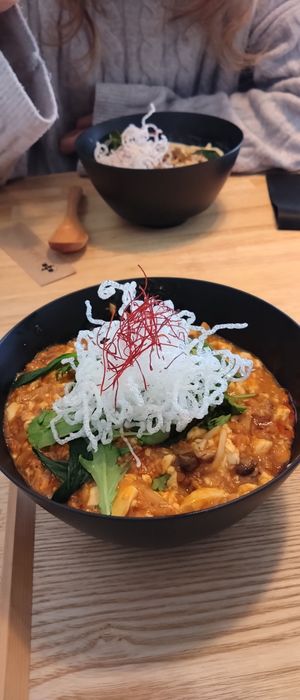 Tofu mapo rice (lightly/mildly spicy) at JoGeSaYu in Hiroshima