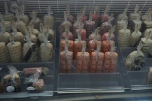 house made Popsicle case at Milk Gone Nuts in Miami Beach