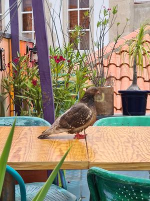  at House of Wonders in Cascais