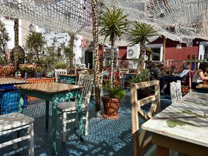 Garden area  at House of Wonders in Cascais