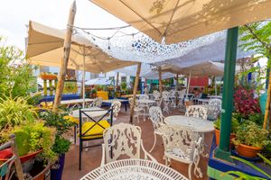 Our rooftop garden dining experience now boasts a new refresh ambiance and looks, offering a delightful and memorable setting under the open sky. at House of Wonders in Cascais