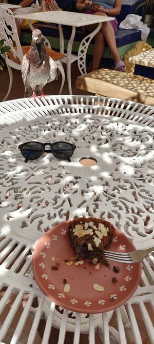  at House of Wonders in Cascais