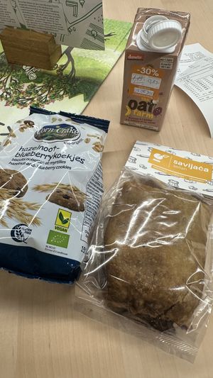 Seitan wrap, blueberry cookies and oat milk drink with banana and cocoa  at bio&bio - Cvjetni in Zagreb