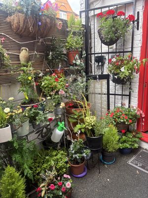   at The Coffee House  in London