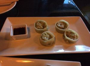 vegetable and tofu dumplings  at Joy Noodles and Asian Cuisine in West Palm Beach