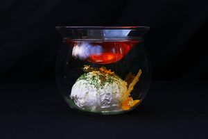 Affogatto at Fusión V in Mexico City