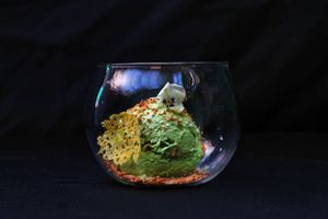 Matcha & Coconut Ice-cream at Fusión V in Mexico City