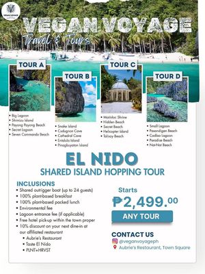   at Vegan Voyage in El Nido