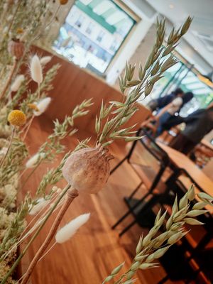 Wheat deco at Land & Monkeys - Grands Boulevards in Paris