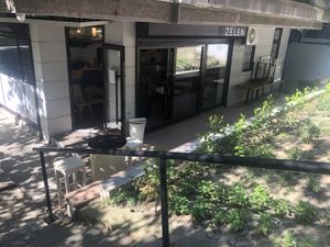 Herb garden and terrace  at Zelen in Belgrade