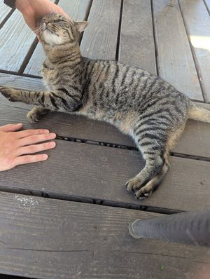 Eliza at Vegetate  in Kapaa