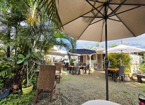  at Vegetate  in Kapaa