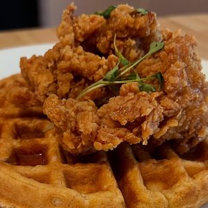 Chik & Waffles   at Little Logan's Veganic Farm in Gardiner