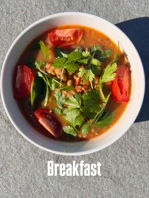   at Little Logan's Veganic Farm in Gardiner