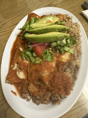 Enchilada dinner plate  at Vegatinos  in North Hollywood
