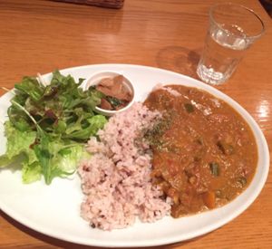 curry at From Earth Cafe OHANA in Tokyo