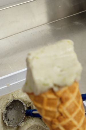 Sorbet Fleures d'acacia sauvages at Les Glaces Cool Cool in Dijon