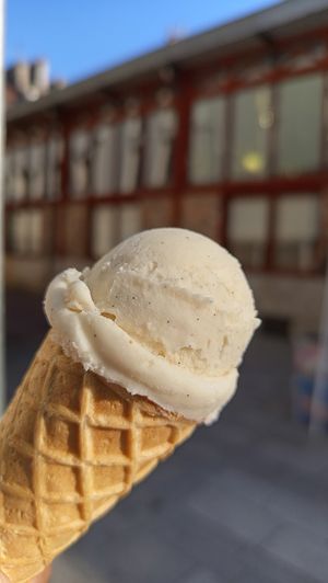 Glace vanille gousse vegan at Les Glaces Cool Cool in Dijon