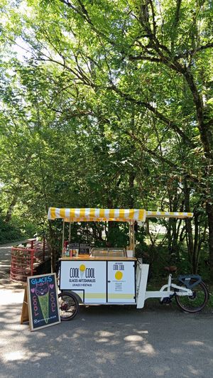 Point of sell at the Lac Kir Dijon at Les Glaces Cool Cool in Dijon