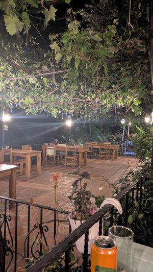 Terrace with evil eye pendants hanging from the ancient vine. at Nihan's Kitchen in Oludeniz