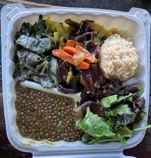 full portion (soup in separate container) at Shangri-La Vegan - Linden in Oakland