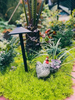  at Sa Mu Coffee & Restaurants in Lao Cai