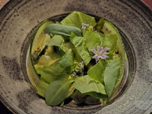  at Koka in Gothenburg
