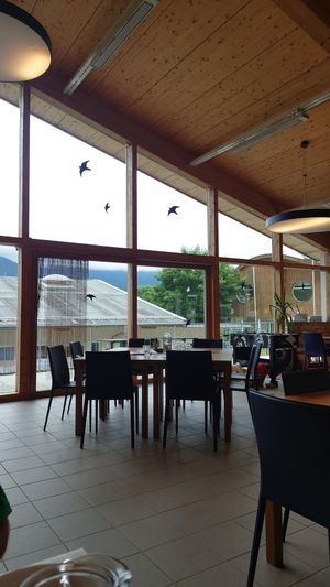 Nice place at Tierschutzverein für Tirol 1881 - Tierheim Innsbruck-Mentlbe in Innsbruck