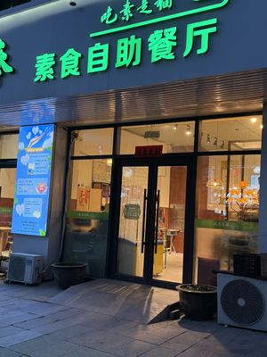 Vegetarian buffet   at Zhen Pinsufeng Vegetarian Cafeteria - Yifeng Nan'ao International Shop in Shenyang