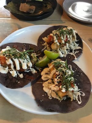 Tacos at Smith & Daughters in Collingwood