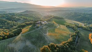  at Tenuta Scrafana in Montevarchi