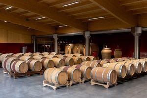  at Tenuta Scrafana in Montevarchi