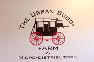 The Wall at The Urban Buggy in Seattle