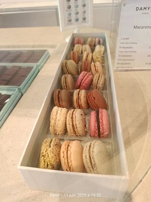  at Damyel - Rue des Rosiers in Paris