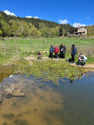  at Mas Campassol in Sant Iscle De Colltort